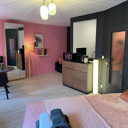 Superb For 4 People, Center - Auto Museum Appartement Mulhouse
